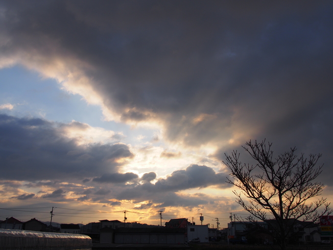 b0194267_1722497.jpg