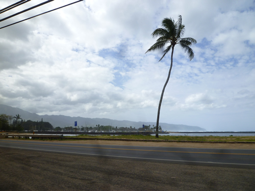 c0152767_2139227.jpg