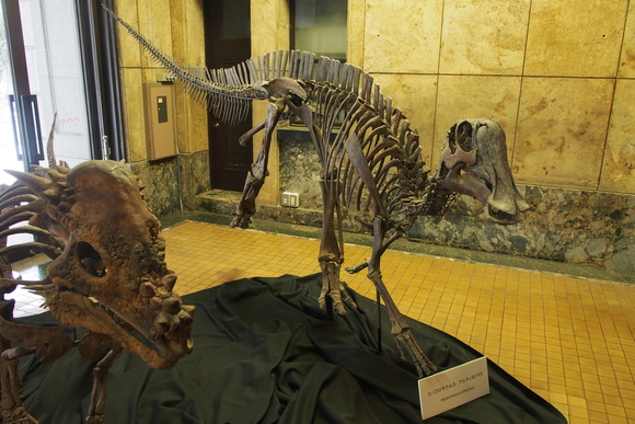 d0193569_8281755.jpg
