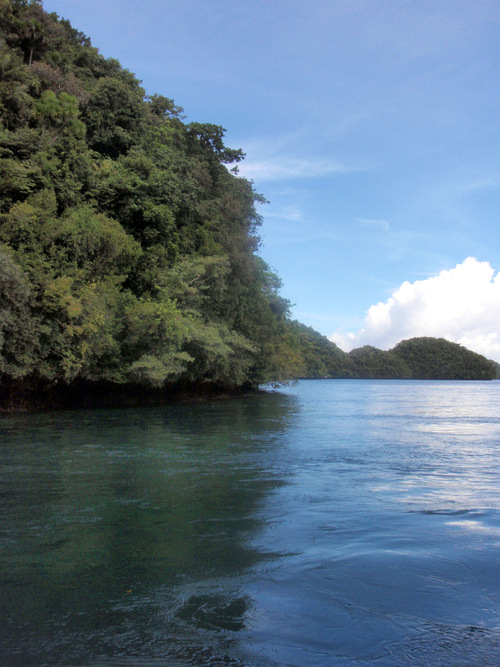 f0008679_7637100.jpg