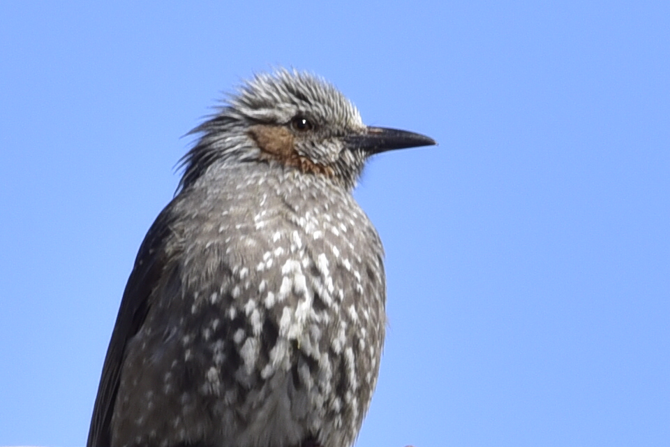 2015年3月_c0176183_19531516.jpg