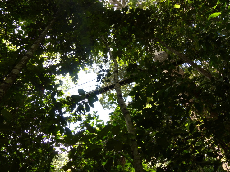 c0324393_21521475.jpg