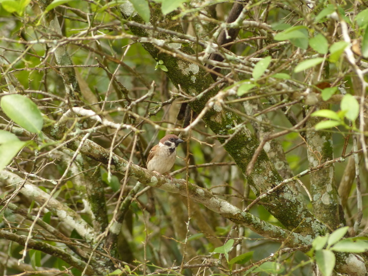 c0324393_21570357.jpg
