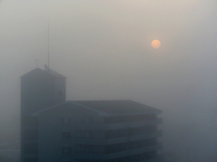 c0049299_22232382.jpg