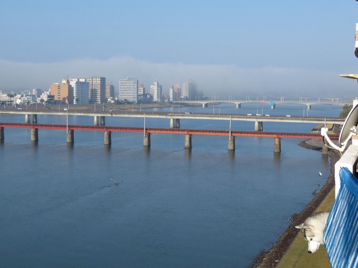 c0049299_22242658.jpg