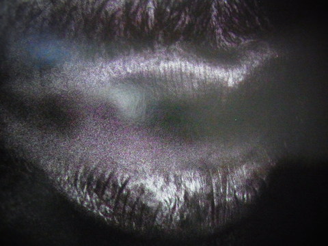 e0147206_1303928.jpg