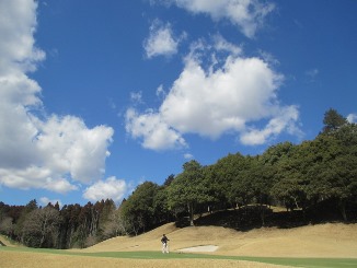 欲張りな、水曜日?!_d0091909_1536169.jpg