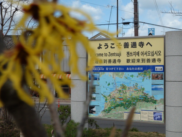 香川県善通寺駅前の花壇の花…2015/3//11_f0231709_22582334.jpg