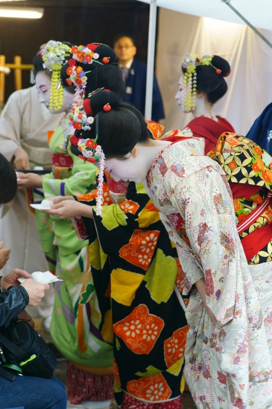 舞妓まめ柳とまめ春 エピソード Deep Season