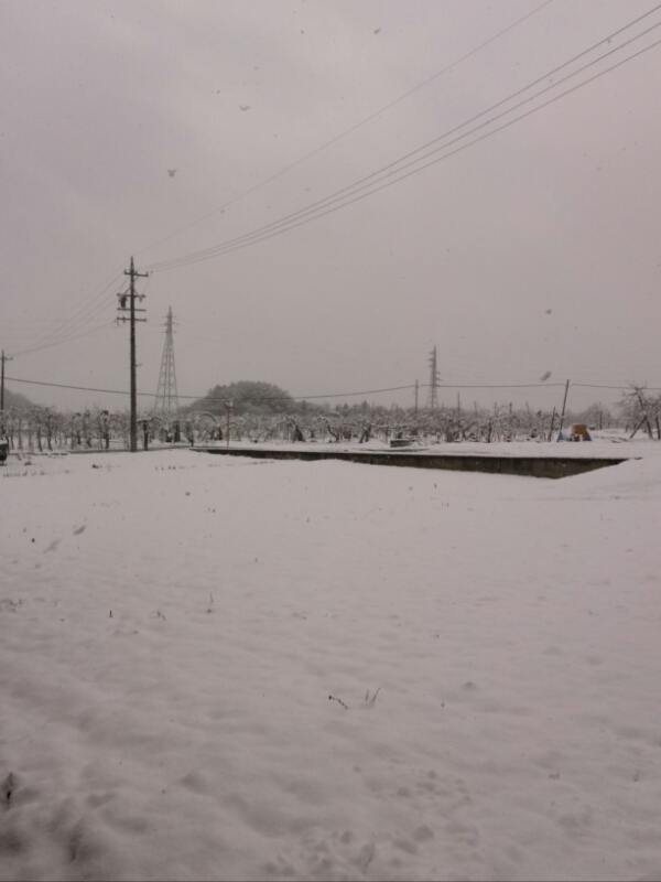 長野は、雪の3.11_f0081919_9144984.jpg