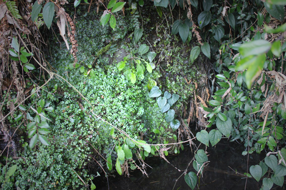 a0329820_08420512.jpg