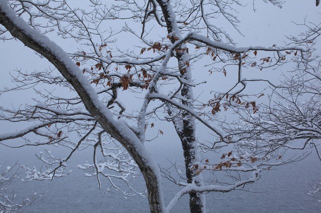 e0242721_9333538.jpg
