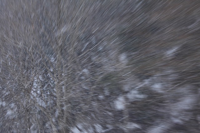 e0242721_9355023.jpg