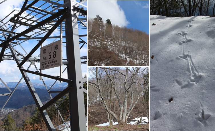 花岡林道と犀川58号_a0212730_1992688.jpg