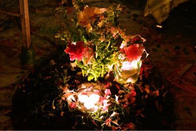 2015年3月15日(日)ディナータイムパーティー『初 星 花 凜』_a0083140_7393775.jpg