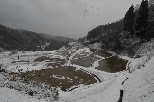 奥吉田の棚田（2）_c0093046_8414635.gif