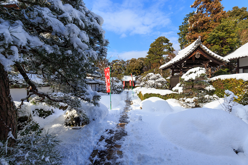 雲龍院・雪景色（泉涌寺塔頭）_f0155048_22552541.jpg