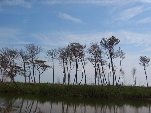 e0140354_15223888.jpg