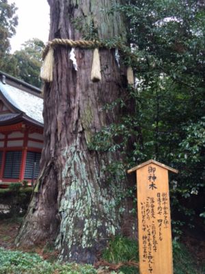 久々の鹿島神宮と香取神宮_d0082655_23335267.jpg