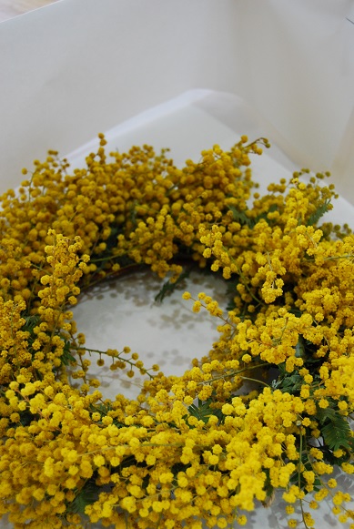 mimoza!!_a0201358_1710993.jpg