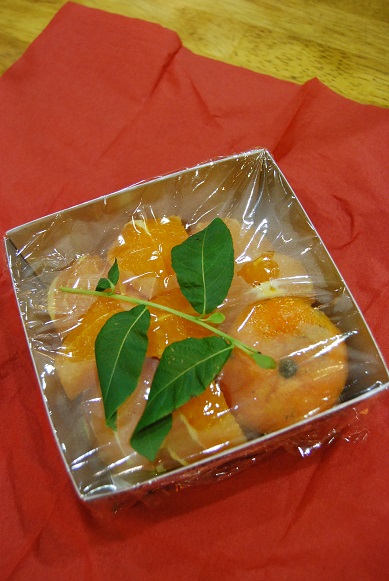 mimoza!!_a0201358_17112833.jpg