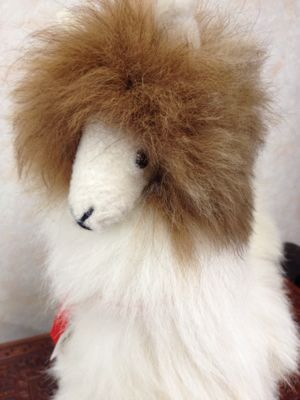 贈り物に アルパカの毛でできたぬいぐるみはいかがですか アルパカ専門店t ika 贈り物に アルパカの毛でできたぬいぐるみはいかがですか アルパカ専門店t ika