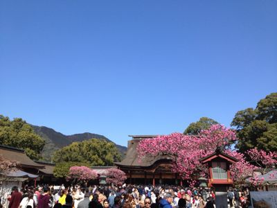 春の観世音寺と太宰府天満宮_b0209976_1302222.jpg