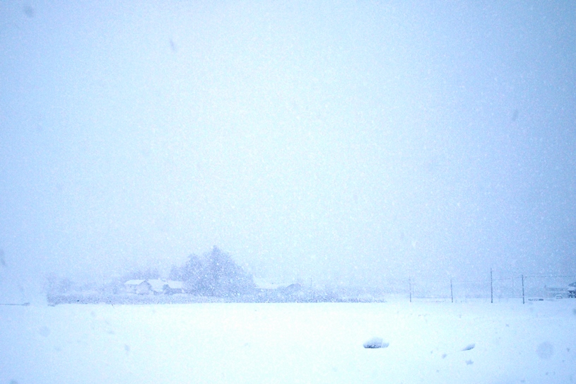 f0174989_9201780.jpg