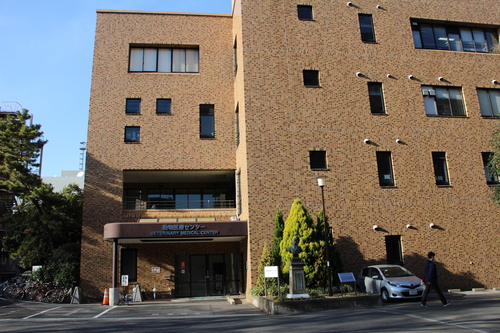 c0090198_2015953.jpg