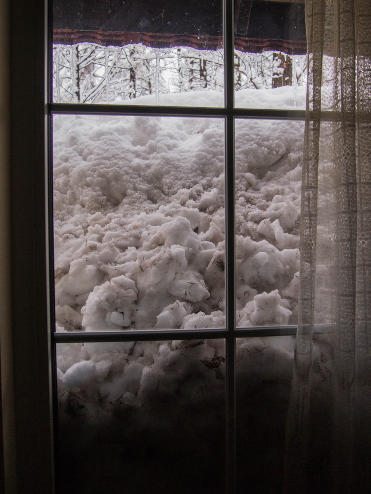 低気圧の接近で昨日から大荒れ・・雪に埋もれています！_f0276498_17040733.jpg