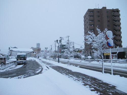 雪が小降りになり米沢駅へ朝の散歩、３月１２日・啓蟄　次候　［桃始めて笑う］・・・２_c0075701_15152444.jpg