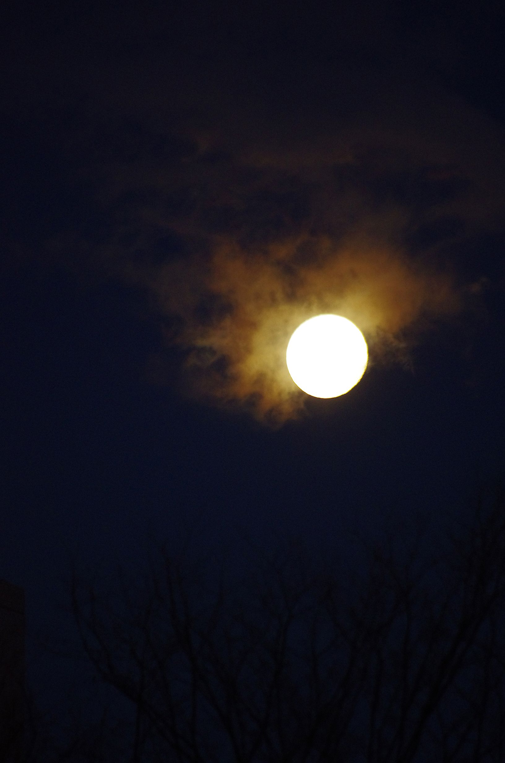 c0156908_0112470.jpg