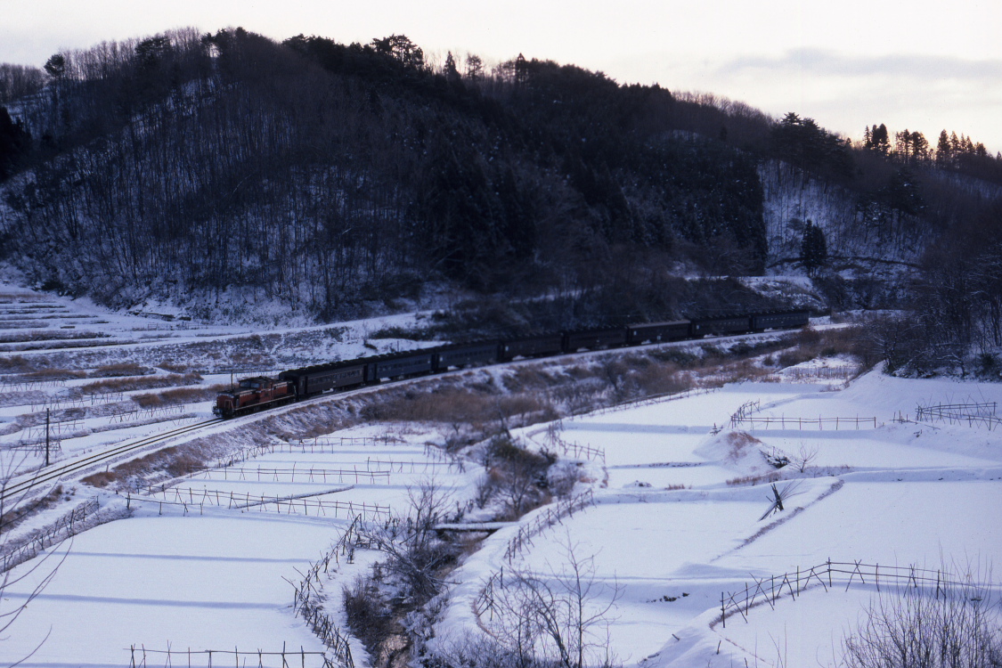 雪の夜が明ける頃 - 磐越東線 - _b0190710_23481711.jpg