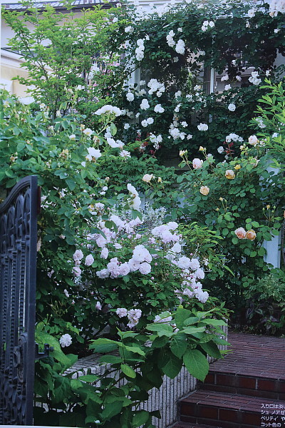 f0131611_08564001.jpg