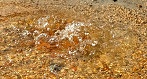 e0125014_92454100.jpg