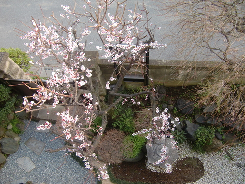 f0329849_22254121.jpg