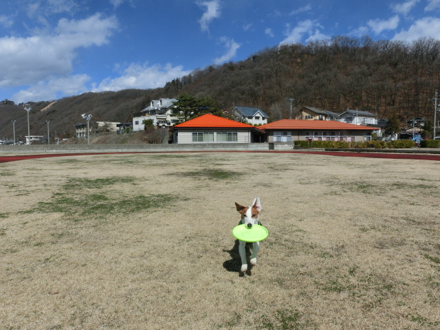 c0140260_18395164.jpg