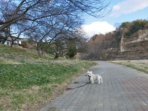 むかし むかし。。。_c0260460_17062918.jpg