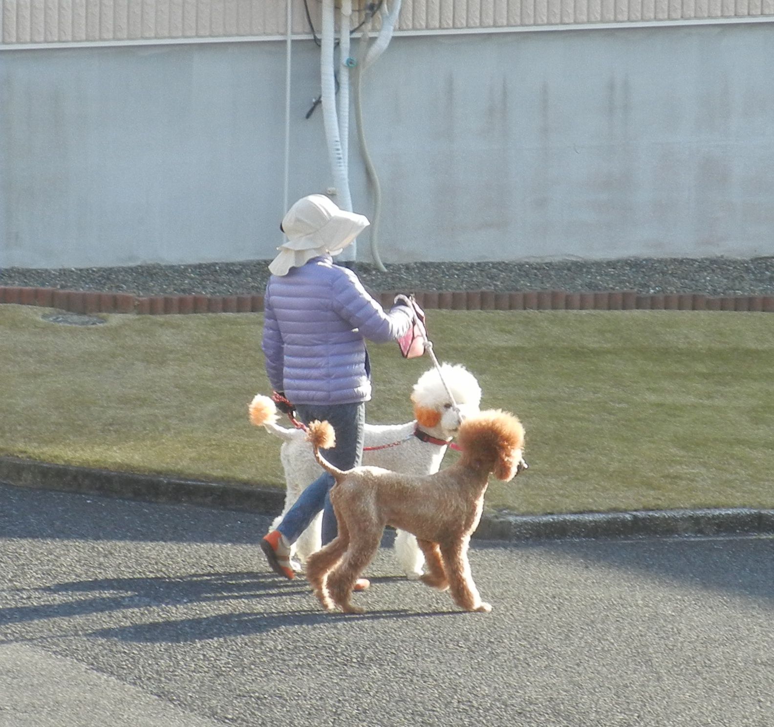 ’15,3,12(木)IHレンジの老化!_f0060461_10244173.jpg