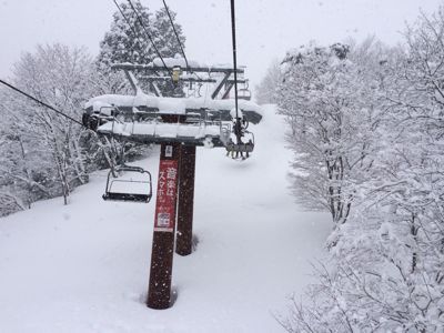 大雪！　岐阜高鷲_c0151965_20115133.jpg