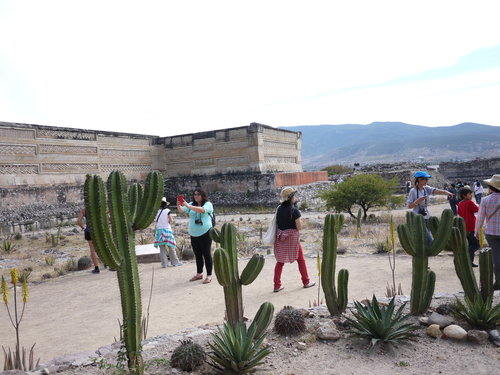 Mexico-24._c0153966_17551926.jpg
