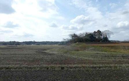 e0126875_2346288.jpg
