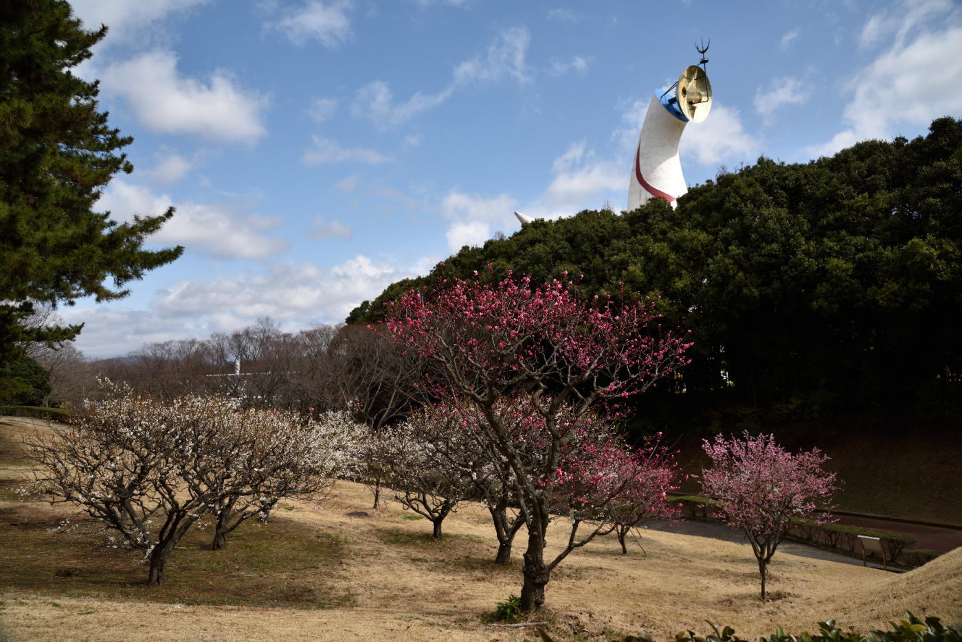 万博公園　太陽の塔_a0301676_06484408.jpg