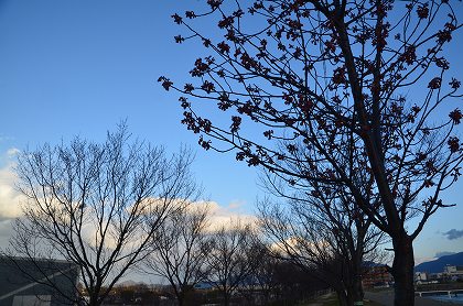 c0229483_973343.jpg