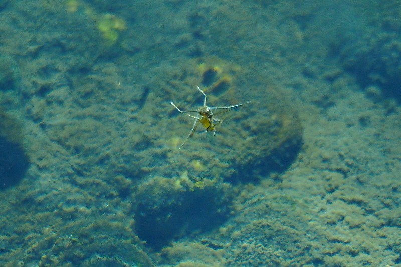 a0293295_8124941.jpg