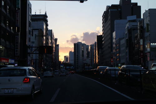 ブランディの手術の詳細_c0090198_19262223.jpg