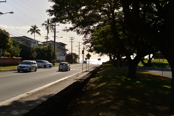 ちょこっと一人旅ハワイ☆lala Hawaiiさんで半日ホロホロツアー_f0174198_22354342.jpg