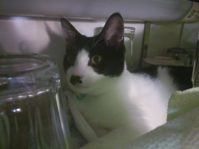 e0144012_01503922.jpg
