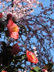 c0248013_17142756.jpg