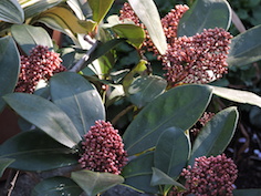 c0248013_17383672.jpg